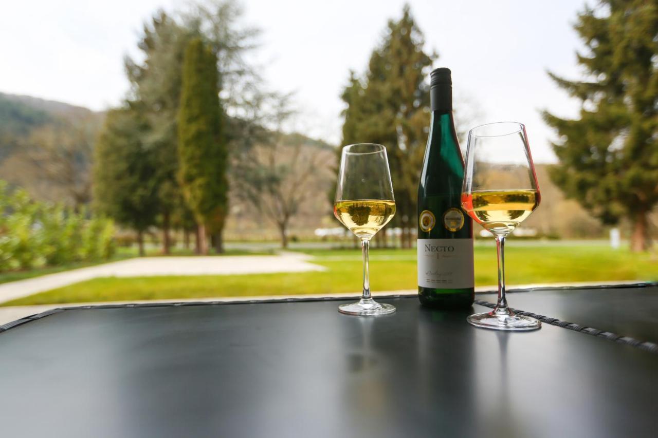 Apartmán Rieslingresidenz Traben-Trarbach Exteriér fotografie
